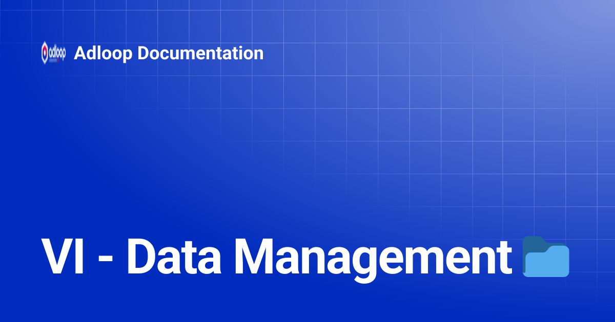 VI - Data Management 📁 | Adloop Documentation